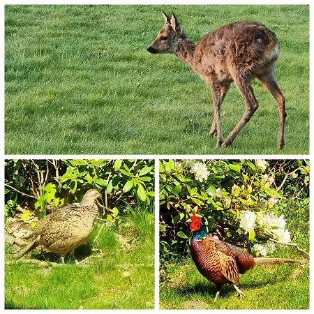 Thuers Im Busch - Gute Stube - Ab 3 Naechte - Mit Stil In Apartament *