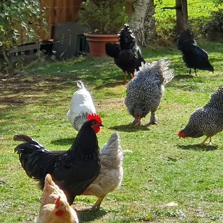 Thuers Im Busch - Gute Stube - Ab 3 Naechte - Mit Stil In Munster (North Rhine-Westphalia)