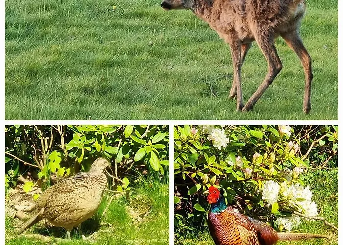 Thuers Im Busch - Gute Stube - Ab 3 Naechte - Mit Stil In Apartamento *