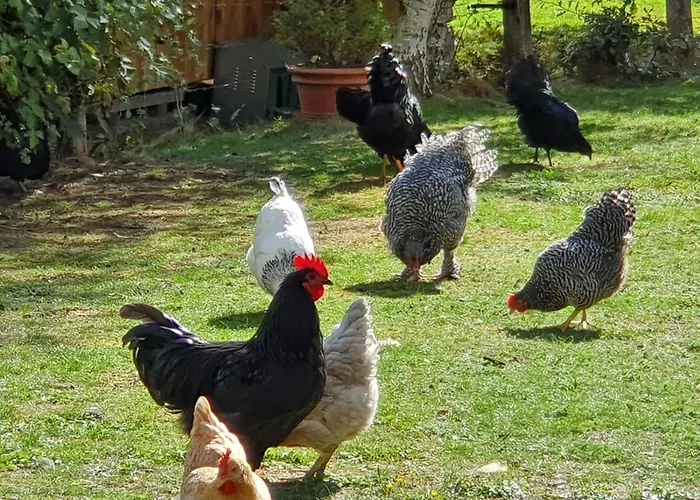 Thuers Im Busch - Gute Stube - Ab 3 Naechte - Mit Stil In Munique